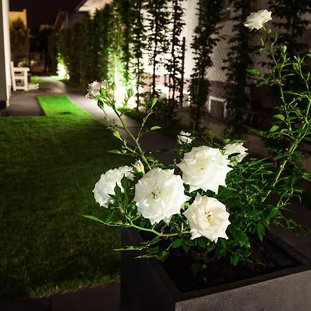 Appartement Hallerowo *