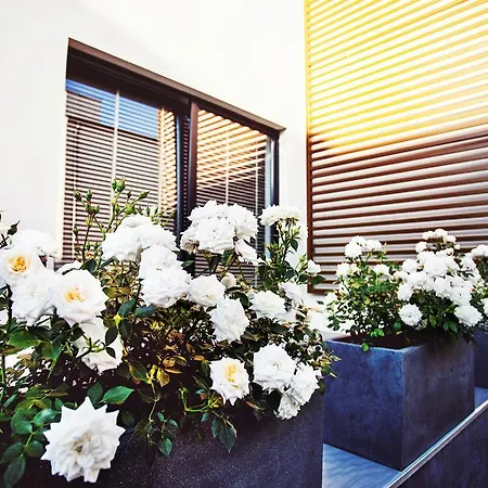 Hallerowo Appartement Władysławowo