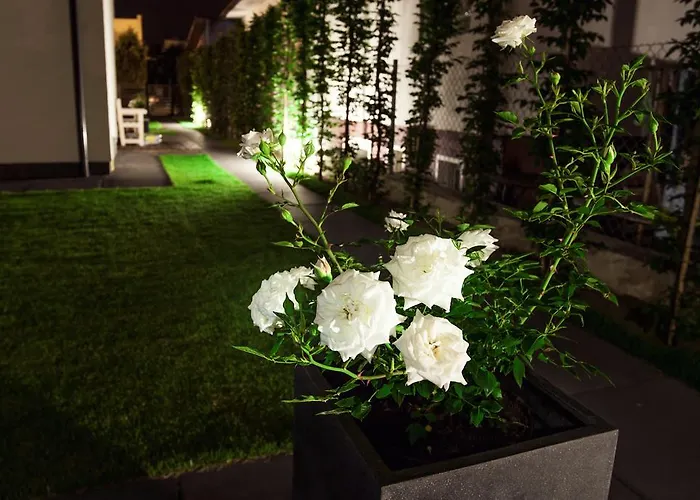 Apartman Hallerowo *