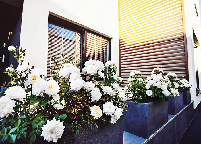 Hallerowo Apartman Władysławowo