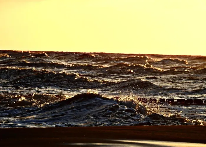 Hallerowo * Władysławowo